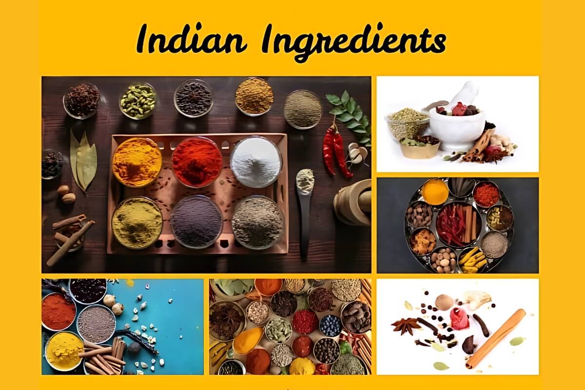 Modern Indian Cuisine A Delicious Revolution-8